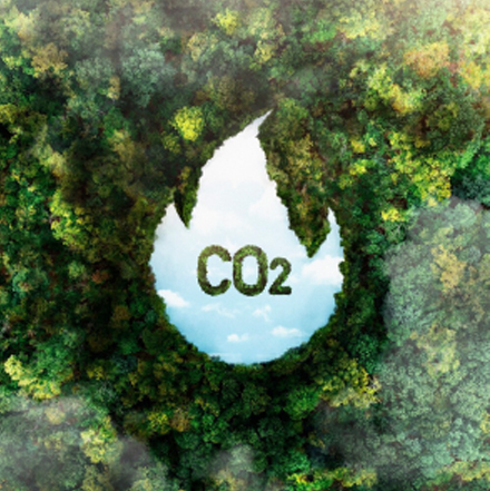 Carbon Footprint Reduction